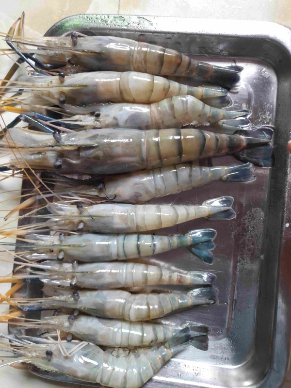 গলদা চিংড়ি বড়