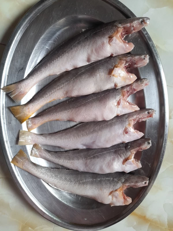 লাল পোয়া মাঝারী