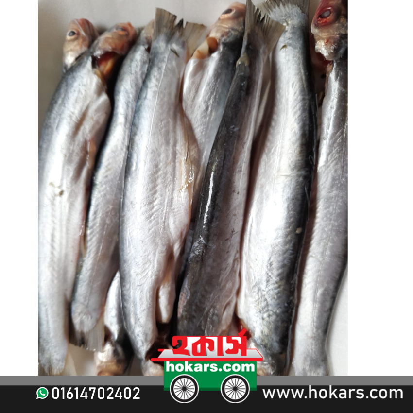 ঘাউরা মাছ