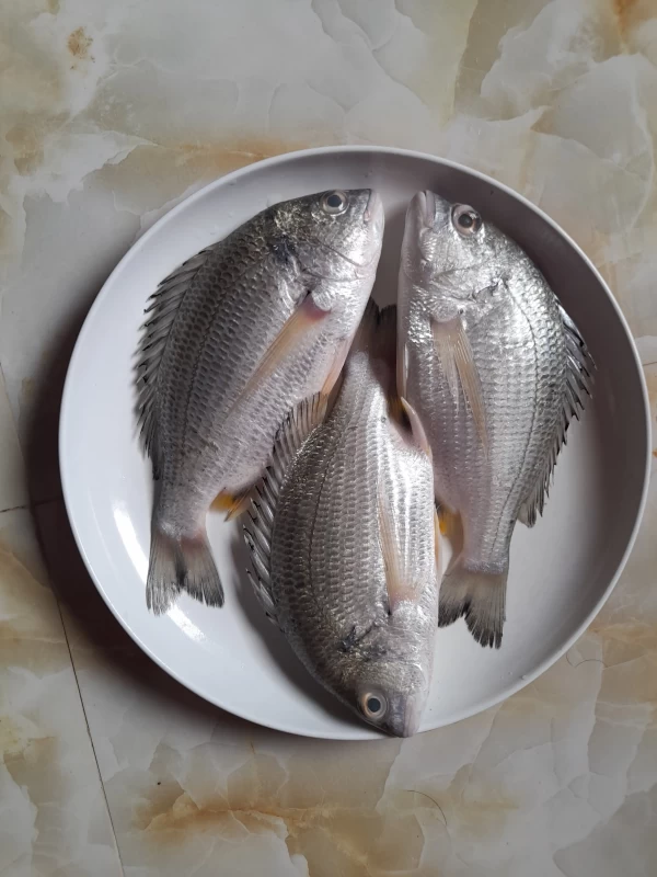 দাতনে ৩০০ গ্রাম +